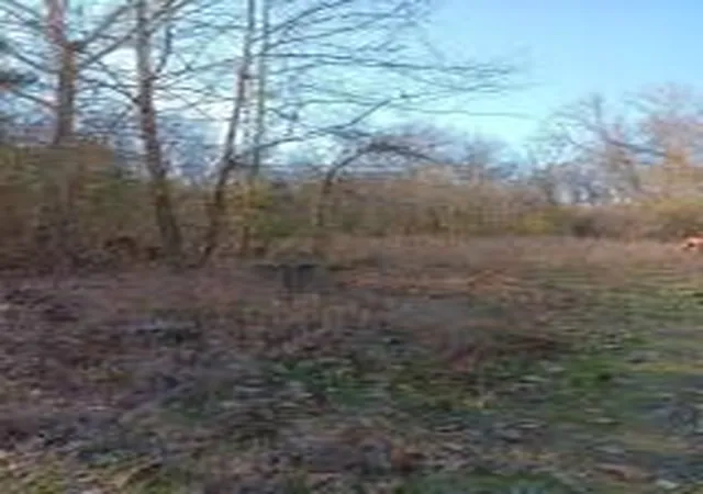 Photo 1 of Sale Pending at 2 Tract 2 Pr 3512, Clarksville, TN 72830 | MLS# AV24-184 | Listing updated on 2025-12-18