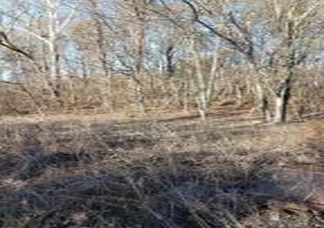 Photo 1 of Sale Pending at 1 3512 Cr Tract 1, Clarksville, TN 72830 | MLS# AV24-173 | Listing updated on 2025-12-19