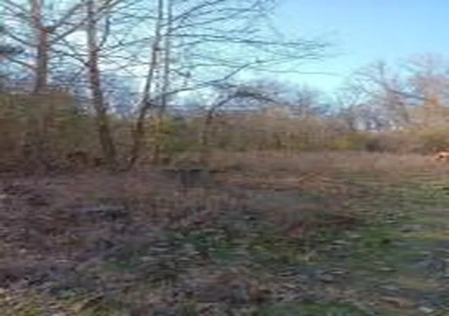 Photo 2 of Sale Pending at 1 3512 Cr Tract 1, Clarksville, TN 72830 | MLS# AV24-173 | Listing updated on 2025-12-19