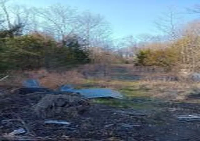Photo 3 of Sale Pending at 1 3512 Cr Tract 1, Clarksville, TN 72830 | MLS# AV24-173 | Listing updated on 2025-12-19