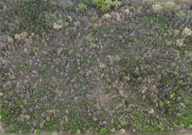 Photo 3 of Land for sale at 1132 Acre County Rd 2228 (a), Hartman, AR 72840 | MLS# AV25-546 | Listing updated on 2026-01-11