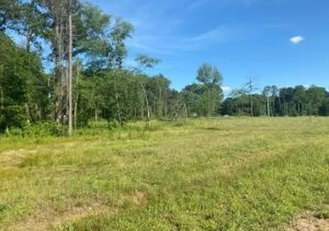 Homes for sale in Dover, AR | 568 Jolea Beth Lp, Dover, AR 72837 | MLS# AV24-1808