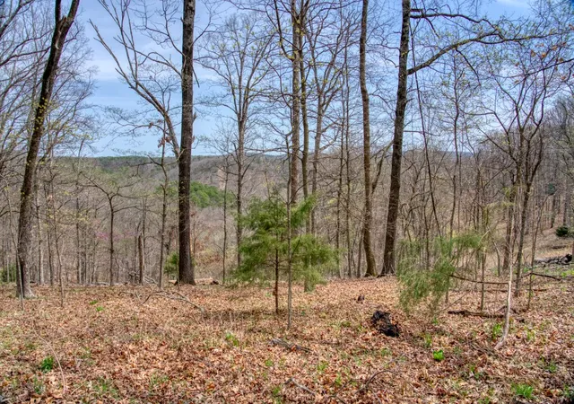 26th image of Highland Park Dr, Eureka Springs, AR 72631 | MLS# 1303313
