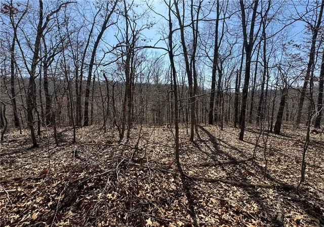 Photo 1 of Unimproved Land at Rochester Dr, Springdale, AR 72762 | MLS# 1303061 |  | Sold on 2025-04-24