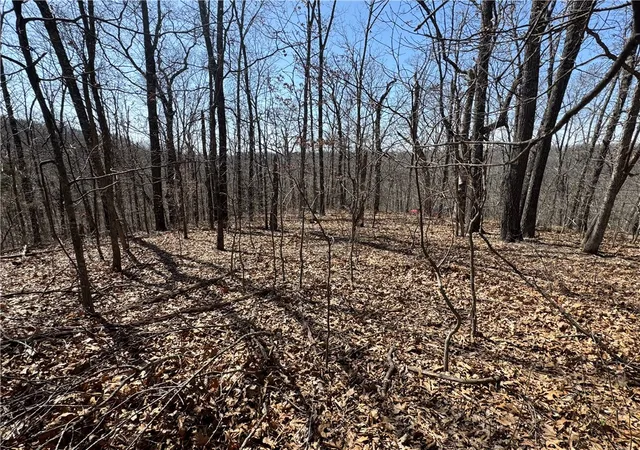 Photo 2 of Unimproved Land at Rochester Dr, Springdale, AR 72762 | MLS# 1303061 |  | Sold on 2025-04-24
