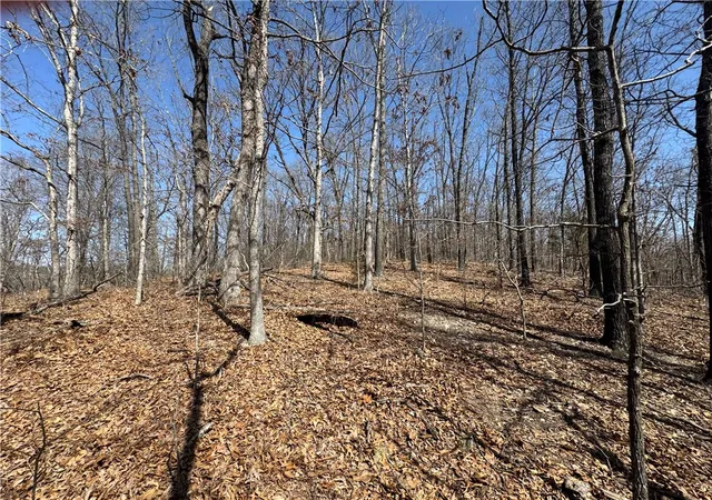 Photo 3 of Unimproved Land at Rochester Dr, Springdale, AR 72762 | MLS# 1303061 |  | Sold on 2025-04-24