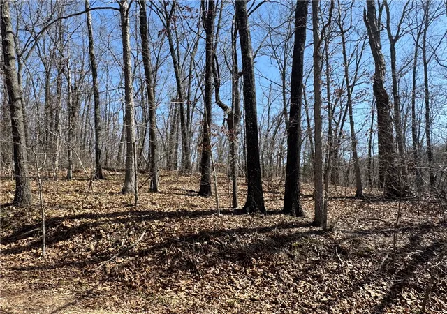 Photo 4 of Unimproved Land at Rochester Dr, Springdale, AR 72762 | MLS# 1303061 |  | Sold on 2025-04-24