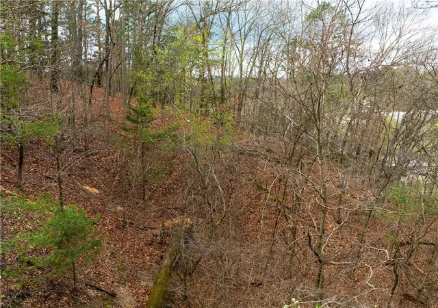 Homes for sale in Eureka Springs, AR | Carroll Ave, Eureka Springs, AR 72632 | MLS# 1304115