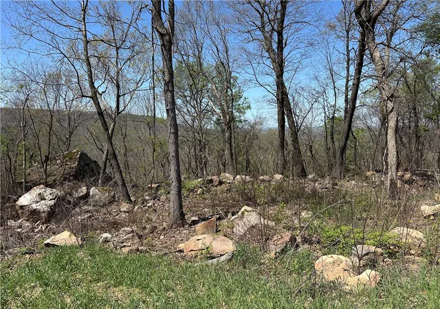 2nd image of Lot 40 Peaceful Pl, Harrison, AR 72601 | MLS# 1304557