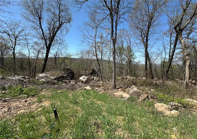 5th image of Lot 40 Peaceful Pl, Harrison, AR 72601 | MLS# 1304557