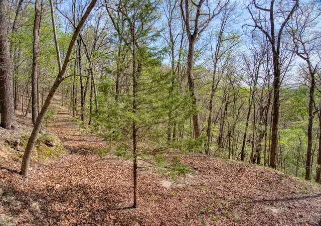 Photo 3 of Land for sale at Mundell Rd, Eureka Springs, AR 72631 | MLS# 1304528 | Listing updated on 2026-04-20