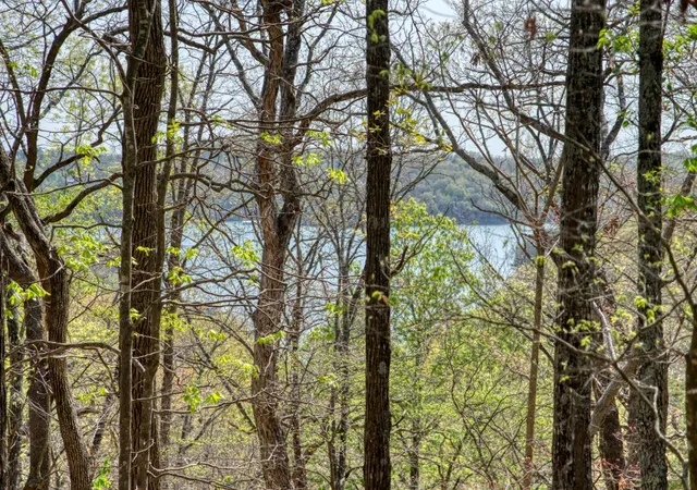Photo 4 of Land for sale at Mundell Rd, Eureka Springs, AR 72631 | MLS# 1304528 | Listing updated on 2026-04-20