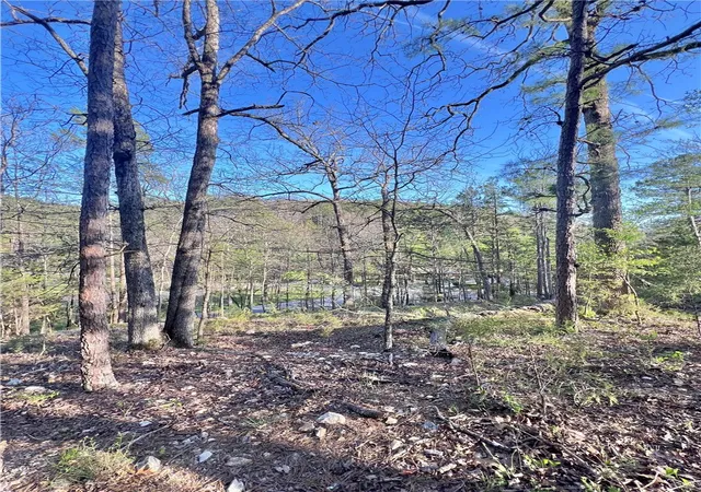 Homes for sale in Eureka Springs, AR | 925 00041 000 Tbd Breezy Point, Eureka Springs, AR 72632 | MLS# 1304898