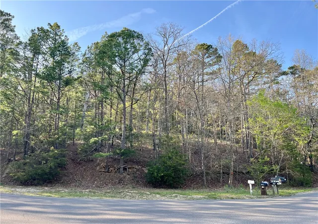 3rd image of 925-00041-000 Tbd Breezy Point, Eureka Springs, AR 72632 | MLS# 1304898