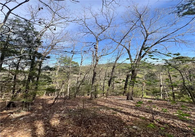 4th image of 925-00041-000 Tbd Breezy Point, Eureka Springs, AR 72632 | MLS# 1304898