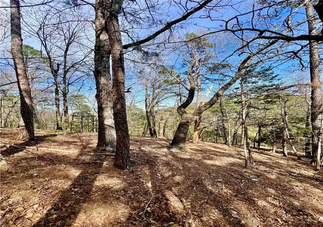 5th image of 925-00041-000 Tbd Breezy Point, Eureka Springs, AR 72632 | MLS# 1304898