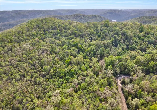4th image of Two Parcel Cr-206, Eureka Springs, AR 72632 | MLS# 1305179