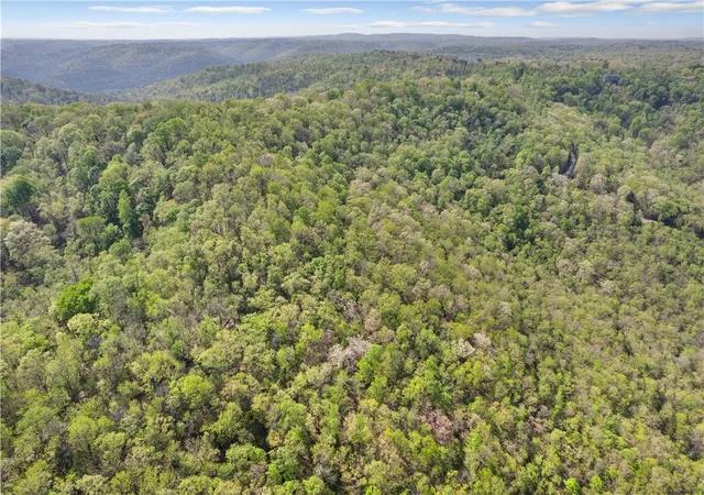 5th image of Two Parcel Cr-206, Eureka Springs, AR 72632 | MLS# 1305179