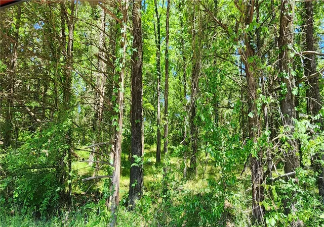 Photo 2 of Land for sale at Tbd S Frankfort Ave #Lot 25, Russellville, AR 72802 | MLS# 1305536 | Listing updated on 2026-07-23