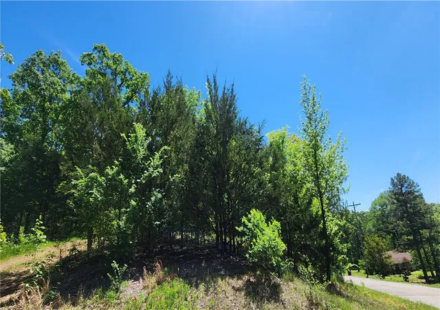 Photo 3 of Land for sale at Tbd S Frankfort Ave #Lot 25, Russellville, AR 72802 | MLS# 1305536 | Listing updated on 2026-07-23