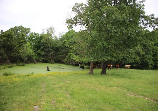 53rd image of 3811 Mc 6014, Yellville, AR 72687 | MLS# 1307429