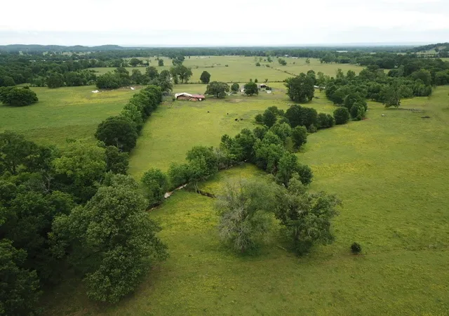 3rd image of 22846 E St Hwy 154, Dardanelle, AR 72834 | MLS# 1307852