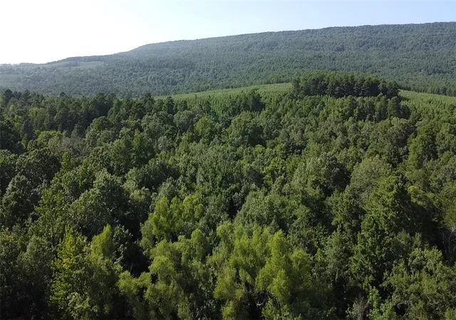 14th image of Tbd Slo Fork Rd, Dardanelle, AR 72834 | MLS# 1308164