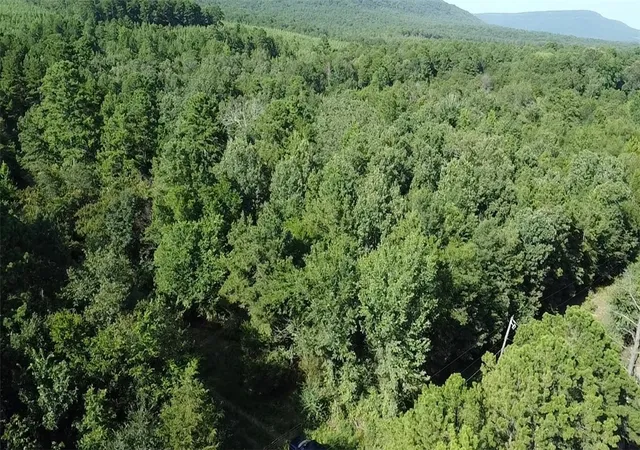 2nd image of Tbd Slo Fork Rd, Dardanelle, AR 72834 | MLS# 1308164
