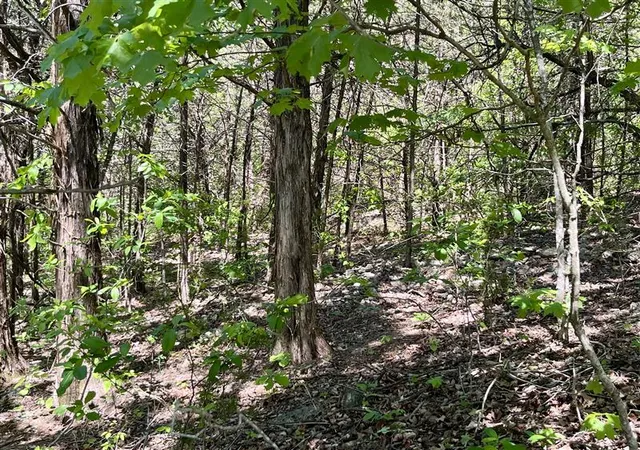 Homes for sale in Holiday Island, AR | 35 Sunrise Ave #UNIT:4-1-3, Holiday Island, AR 72631 | MLS# 1309605