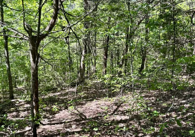 Homes for sale in Holiday Island, AR | 35 Sunrise Ave #UNIT:4-1-3, Holiday Island, AR 72631 | MLS# 1309605