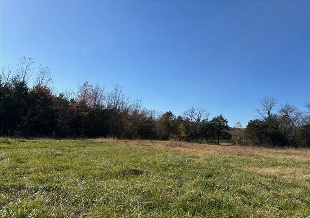 53rd image of 325 N Hwy 65, Saint Joe, AR 72675 | MLS# 1311427