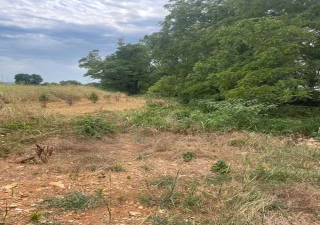 4th image of Lot 62 Riverside Estates Ph Iv, Goshen, AR 72701 | MLS# 1312195