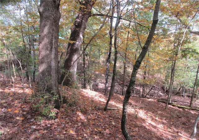 Homes for sale in Eureka Springs, AR | Paxos St, Eureka Springs, AR 72632 | MLS# 1312424