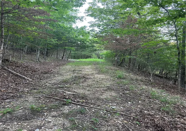 3rd image of Tbd Cr 1524, Eureka Springs, AR 72632 | MLS# 1312695