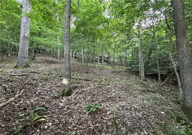 4th image of Tbd Cr 1524, Eureka Springs, AR 72632 | MLS# 1312695