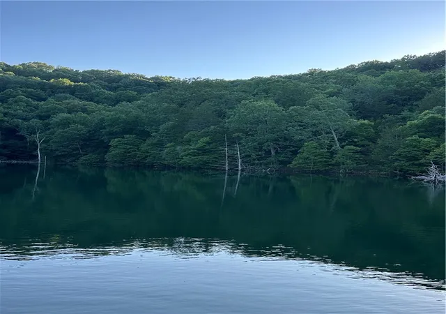 5th image of Tbd Cr 1524, Eureka Springs, AR 72632 | MLS# 1312695