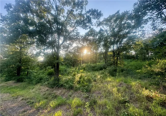 Photo 1 of Land for sale at 745 Riverstone St, Russellville, AR 72802 | MLS# 1312582 | Listing updated on 2026-06-24