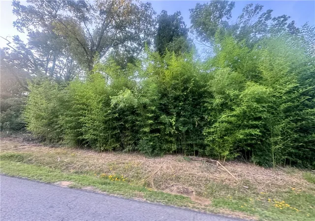 Photo 3 of Land for sale at 745 Riverstone St, Russellville, AR 72802 | MLS# 1312582 | Listing updated on 2026-06-24