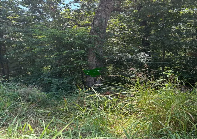 8th image of Lot 17 Block 1 Oak Knoll Ln, Bella Vista, AR 72715 | MLS# 1312865