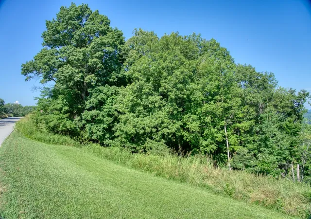 4th image of Mundell Rd, Eureka Springs, AR 72631 | MLS# 1314099
