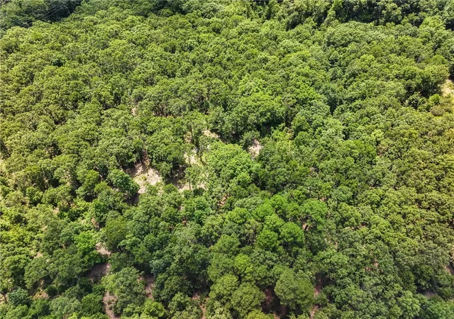 Homes for sale in Colcord, OK | Tbd S 618 Rd, Colcord, OK 74338 | MLS# 1316210