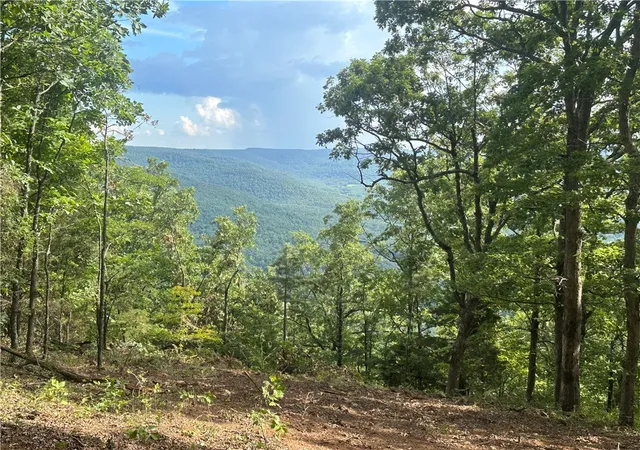 1st image of Nc 6850, Jasper, AR 72641 | MLS# 1316585