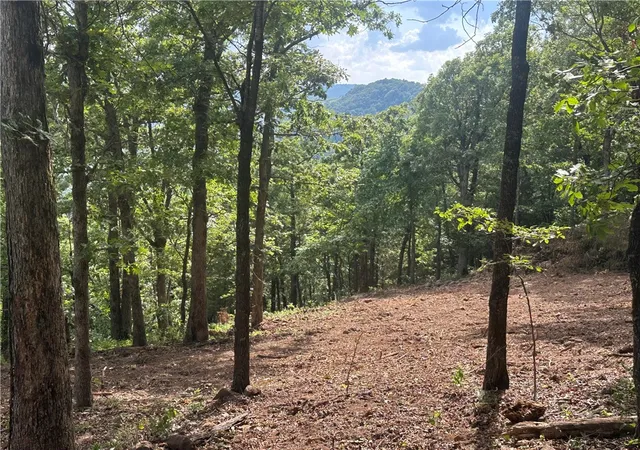 2nd image of Nc 6850, Jasper, AR 72641 | MLS# 1316585