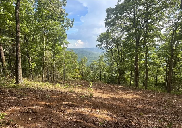3rd image of Nc 6850, Jasper, AR 72641 | MLS# 1316585