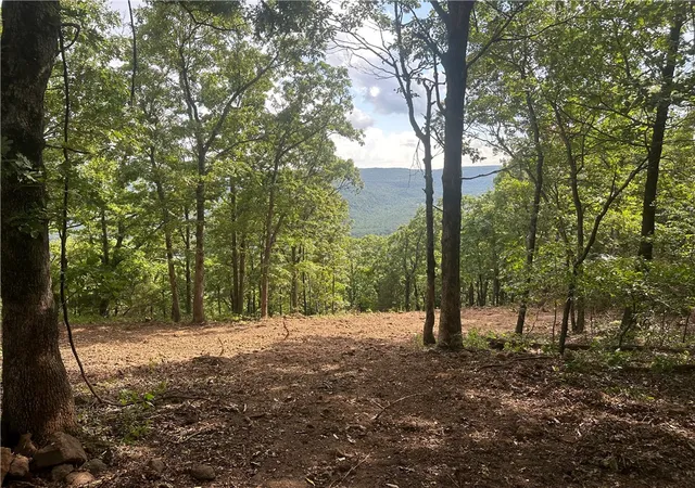 4th image of Nc 6850, Jasper, AR 72641 | MLS# 1316585