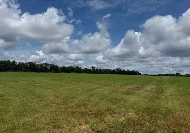 Homes for sale in Seligman, MO | 32673 State Hwy 12, Seligman, MO 65745 | MLS# 1316603