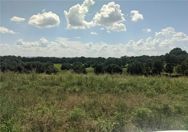 2nd image of 020 05077 000 Sansing Hollow Rd, Harrison, AR 72601 | MLS# 1316880