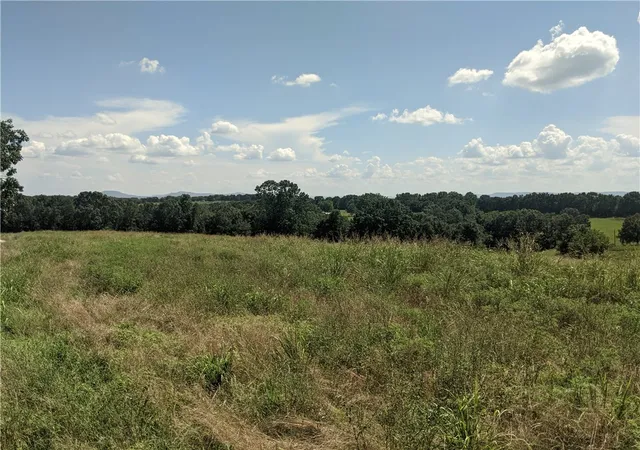 3rd image of 020-05077-000 Sansing Hollow Rd, Harrison, AR 72601 | MLS# 1316880