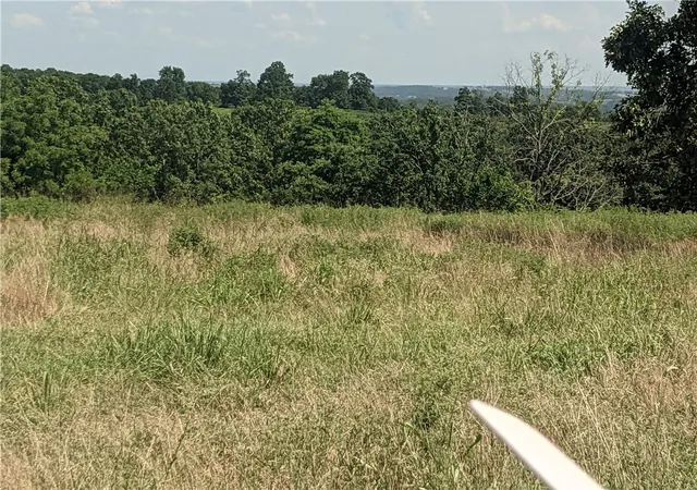 4th image of 020-05077-000 Sansing Hollow Rd, Harrison, AR 72601 | MLS# 1316880