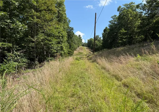 1st image of 000 Tract D County Rd 516, Berryville, AR 72616 | MLS# 1317226